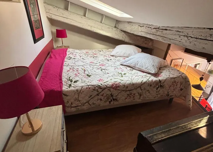 Avec En Mezzanine 公寓 昂蒂布